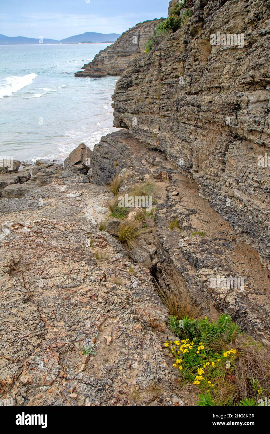 Scogliere sulla Baia di Moorina, Isola Bruny Foto Stock