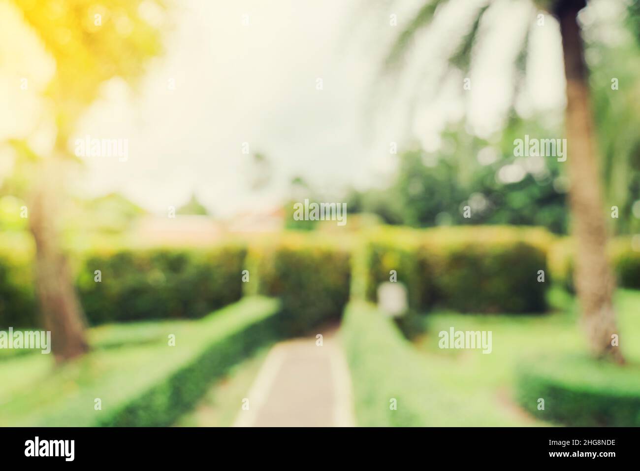bokeh sfocato e sfondo sfocato di alberi da giardino alla luce del sole con tonalità vintage. Foto Stock