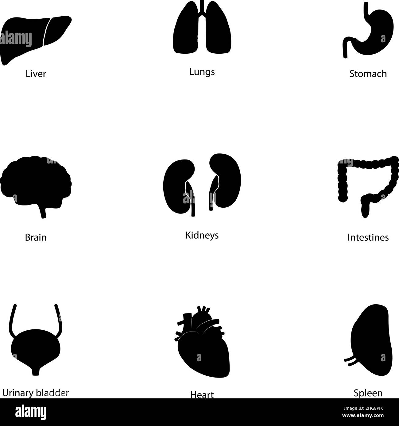 Insieme di icone di organi umani, illustrazione vettoriale Illustrazione Vettoriale