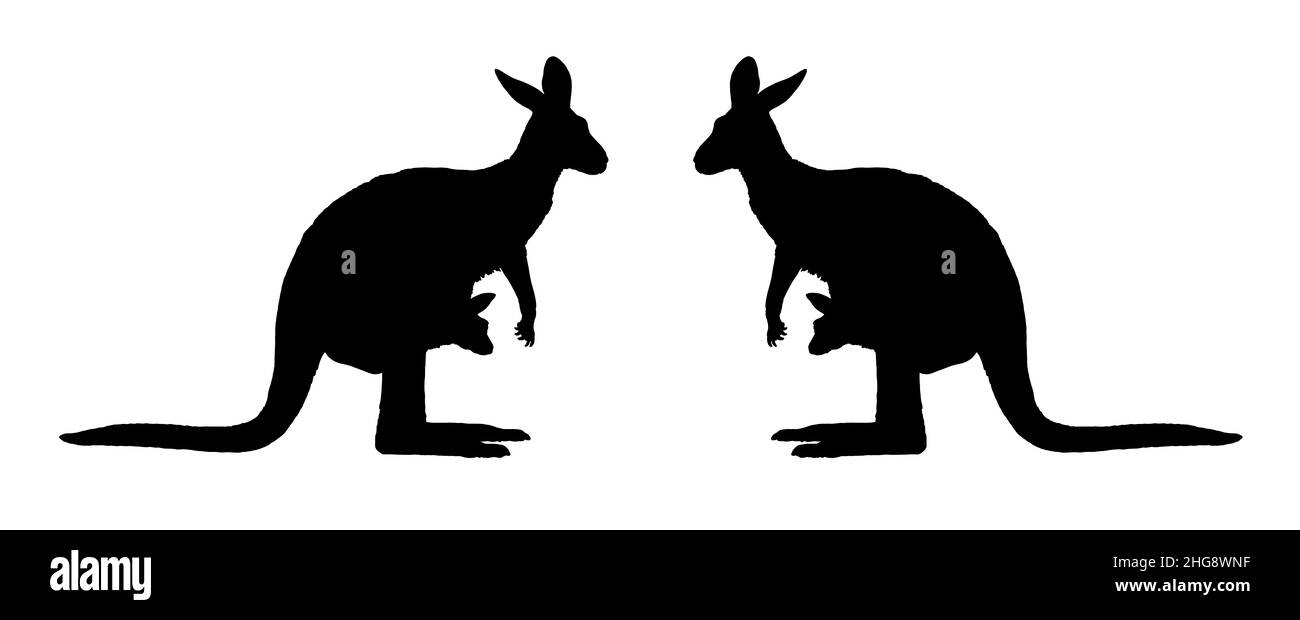 Mama canguro con il bambino in tasca. Illustrazione della silhouette degli animali australiani. Foto Stock
