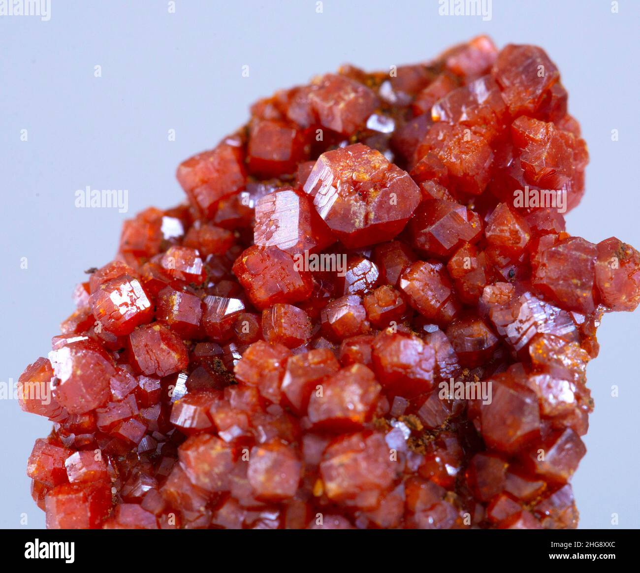 wulfenite minerale campione pietra roccia geologia cristallo gemma Foto Stock