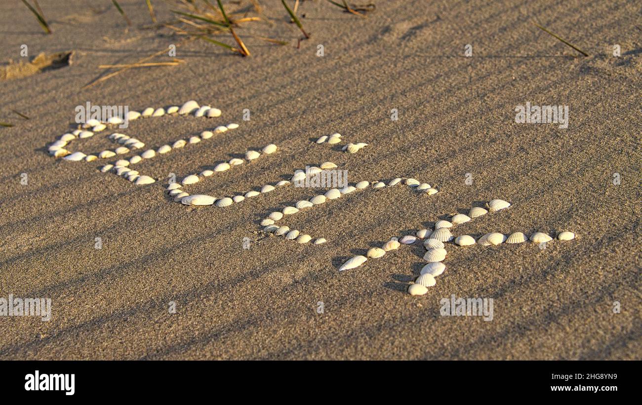 Con conchiglie disposte simbolo felicità sulla spiaggia del Mar Baltico nella sabbia. Desideri per la vacanza e la vita. Foto Stock