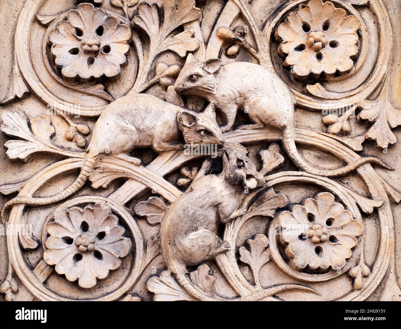 Dettagli di scultura in pietra su un molo d'ingresso al Museo di Storia Naturale Cromwell Road Borough di Kensington e Chelsea London Inghilterra Foto Stock