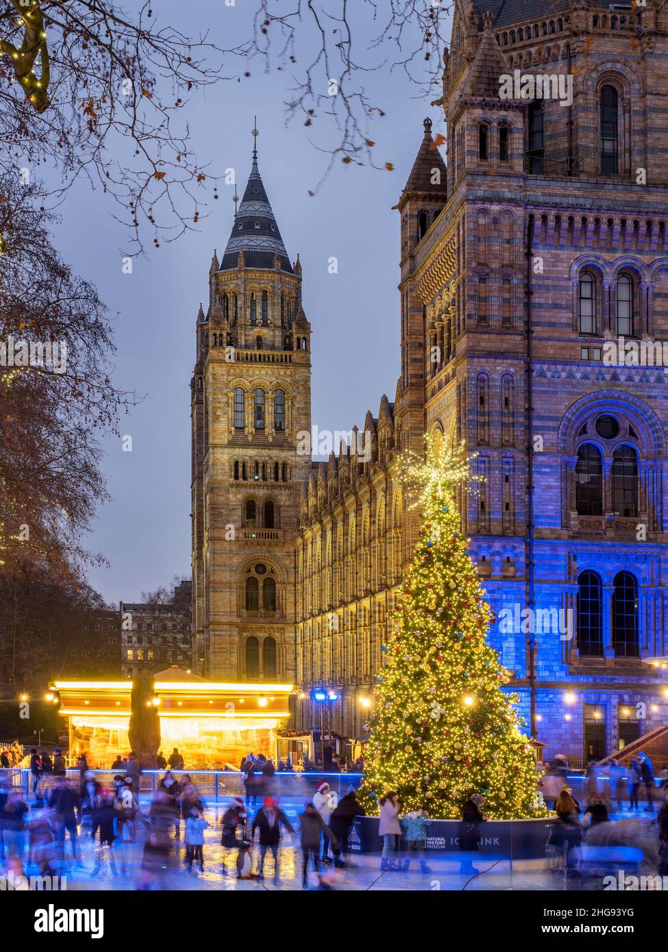 Pattinaggio sul ghiaccio intorno all'albero di Natale al tramonto presso il Natural History Museum Borough di Kensington e Chelsea London Inghilterra Foto Stock