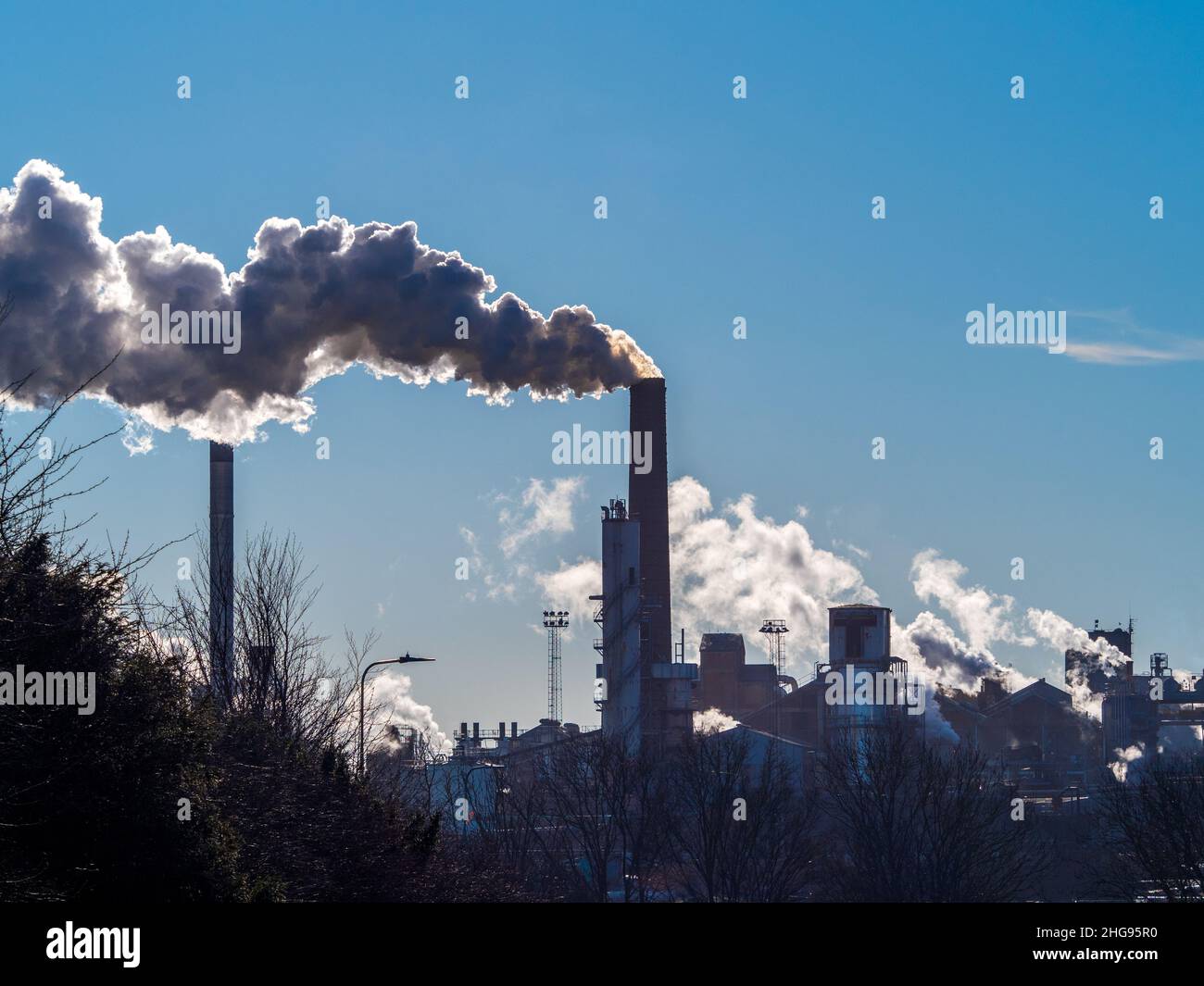 Air Pollution Factory Emissions - Sugar Beet Factory Chimneys - Backlit Smoke & Steam provengono dalla British Sugar Factory, Bury St Edmunds Suffolk UK Foto Stock