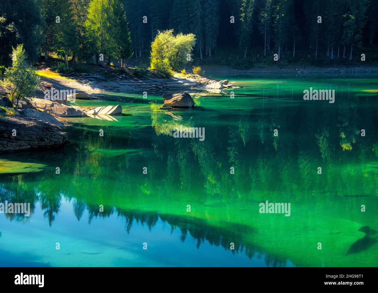 Riflessi della foresta nel lago Cauma, Grigioni, Svizzera Foto Stock