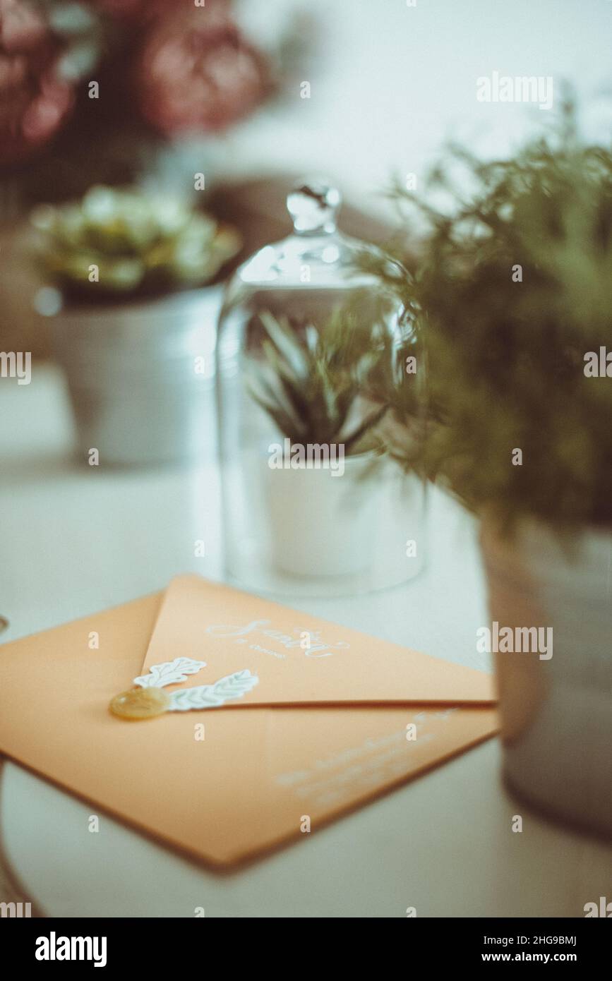 Una lettera a Santa su un tavolo accanto alle piante d'appartamento Foto Stock
