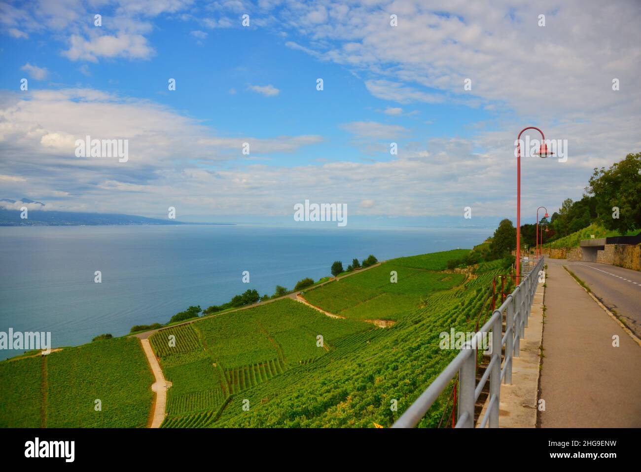 Strada di Lavaux terrazze Vineyard lungo la riva del lago di Ginevra, Lavaux, Vaud, Svizzera Foto Stock