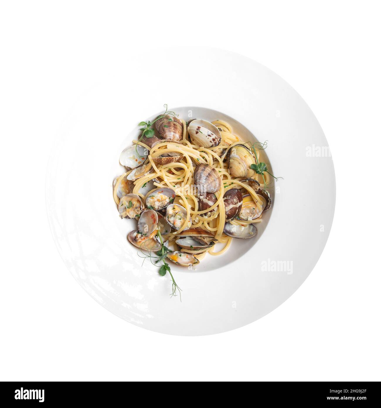 Isolato vongole gourmet linguine pasta alle vongole Foto Stock