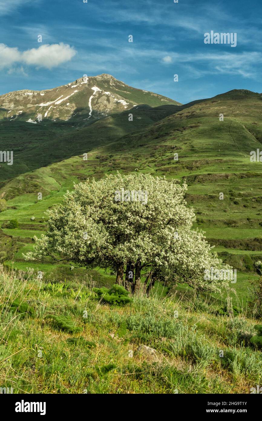 Un bellissimo paesaggio di montagna. Una splendida vista sulla primavera. Montagne di Zangezur. Armenia. Foto Stock