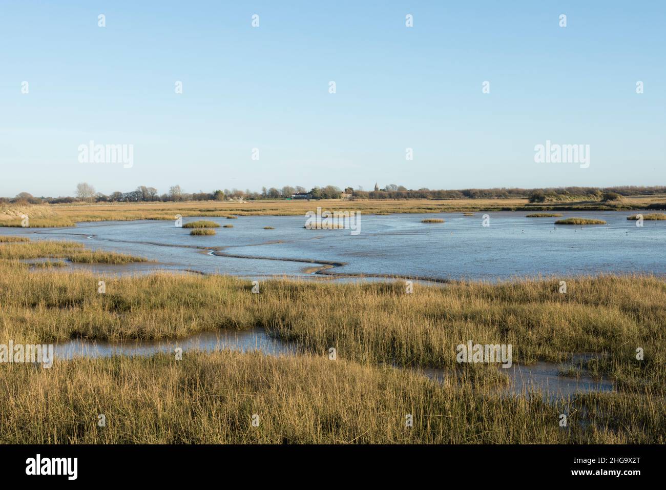 Vista attraverso la riserva naturale di Pagham Harbour verso il North Wall a Pagham, gennaio mostrando la palude di sale con marea fuori Foto Stock