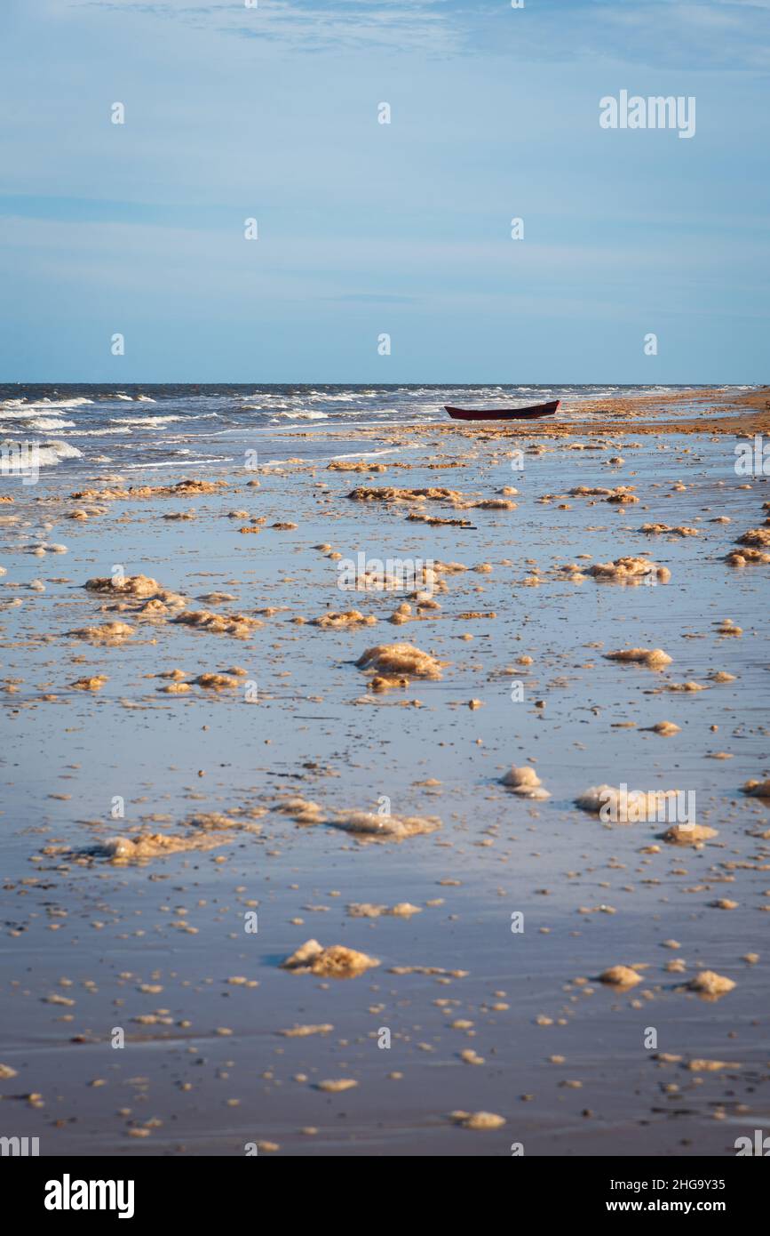 Schiuma marrone, fiore dell'oceano, sulla sabbia vicino all'oceano durante la bassa marea alla spiaggia di Guaratiba in Prado, Bahia, Brasile. Foto Stock