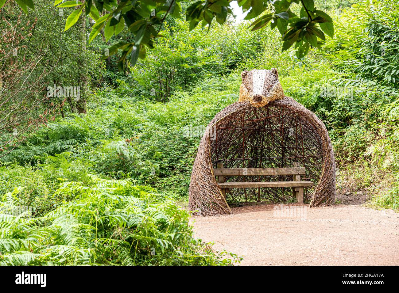 Un rifugio per badger e posto a sedere sul sentiero Forest to Forest nella Foresta di Dean a Beechenhurst Lodge vicino Coleford, Gloucestershire.UK Foto Stock