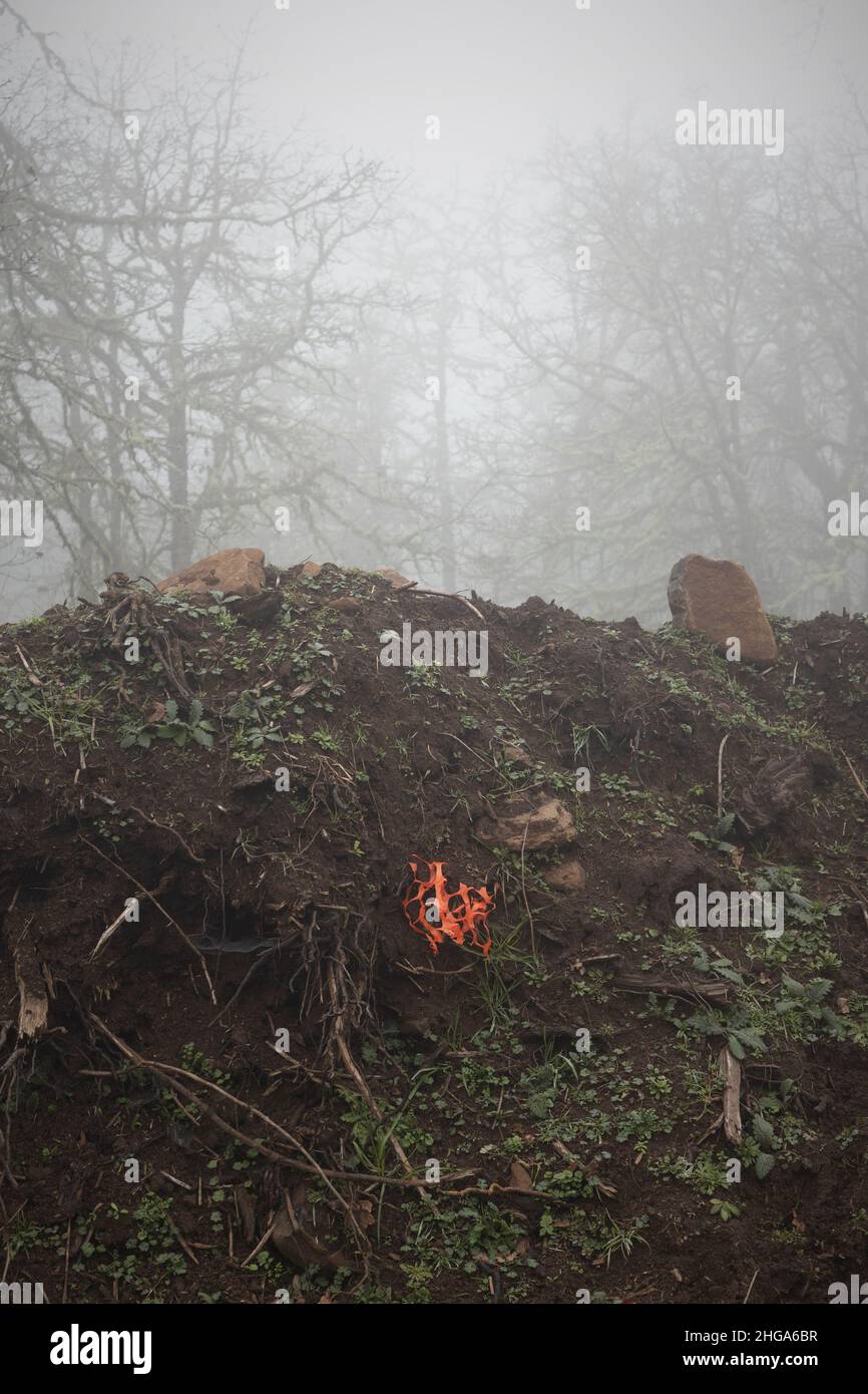 Un pezzo di plastica temporanea arancione recinzione che sporge da un mucchio di sporcizia e macerie in un cantiere per un nuovo sviluppo domestico. Foto Stock