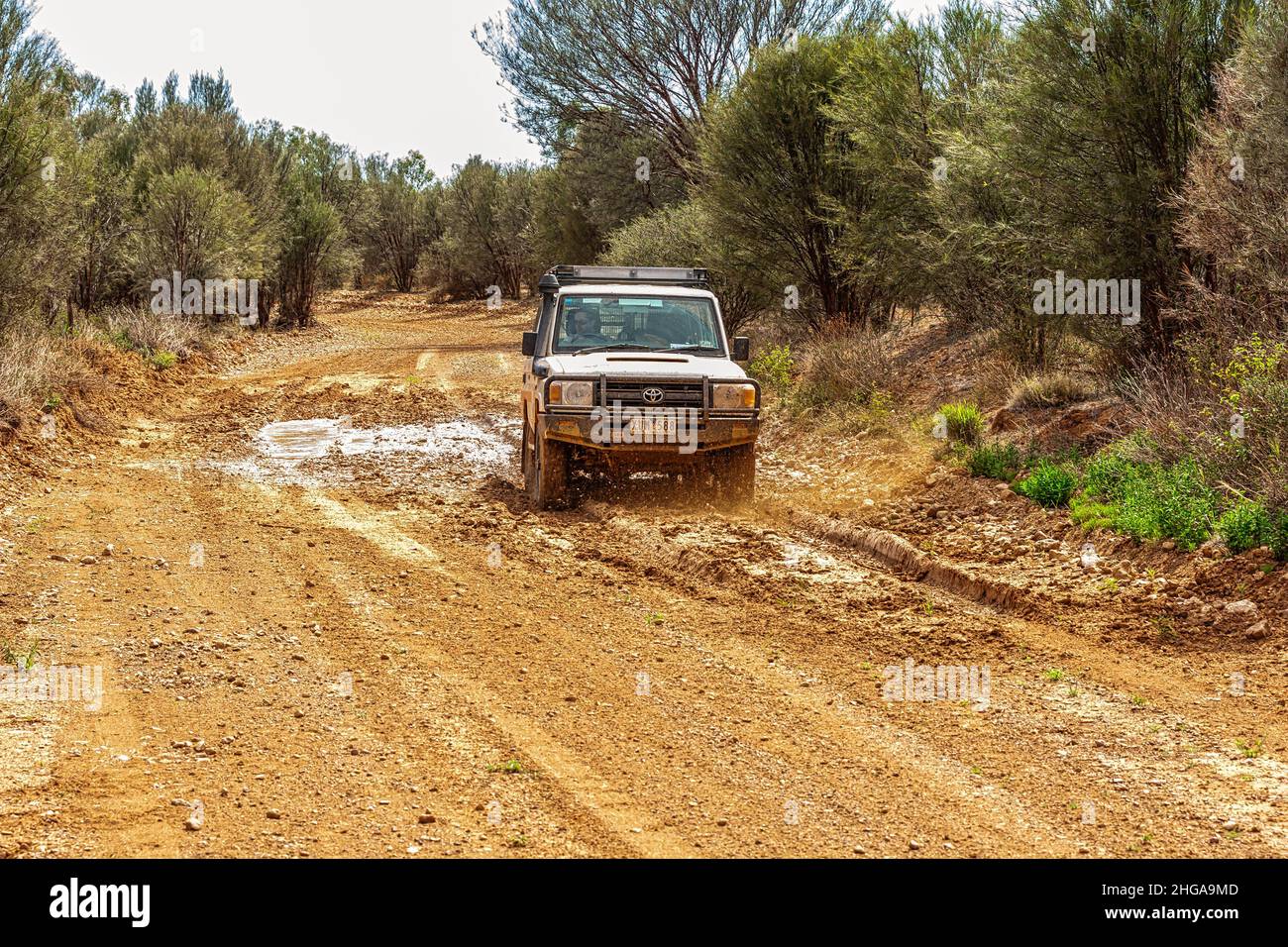 I turisti che guidano con un veicolo fuoristrada su una strada sterrata e fangosa Mount dare Road Australian Outback verso il Mount dare Hotel con fango che spruzza Foto Stock