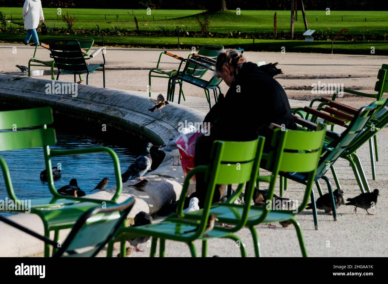 Laghetto Grand Basin nel giardino delle Tuileries a Parigi, Francia. Foto Stock