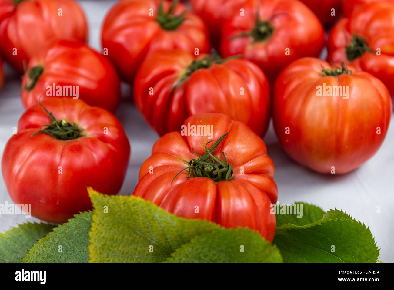 pomodori Foto Stock