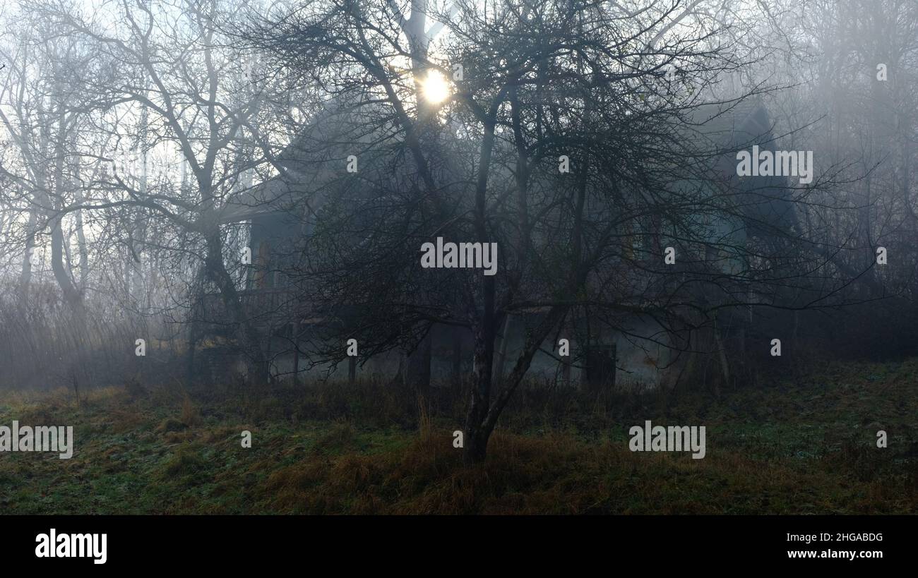 Vecchia casa infestata al bordo della foresta, coperta di nebbia Foto Stock