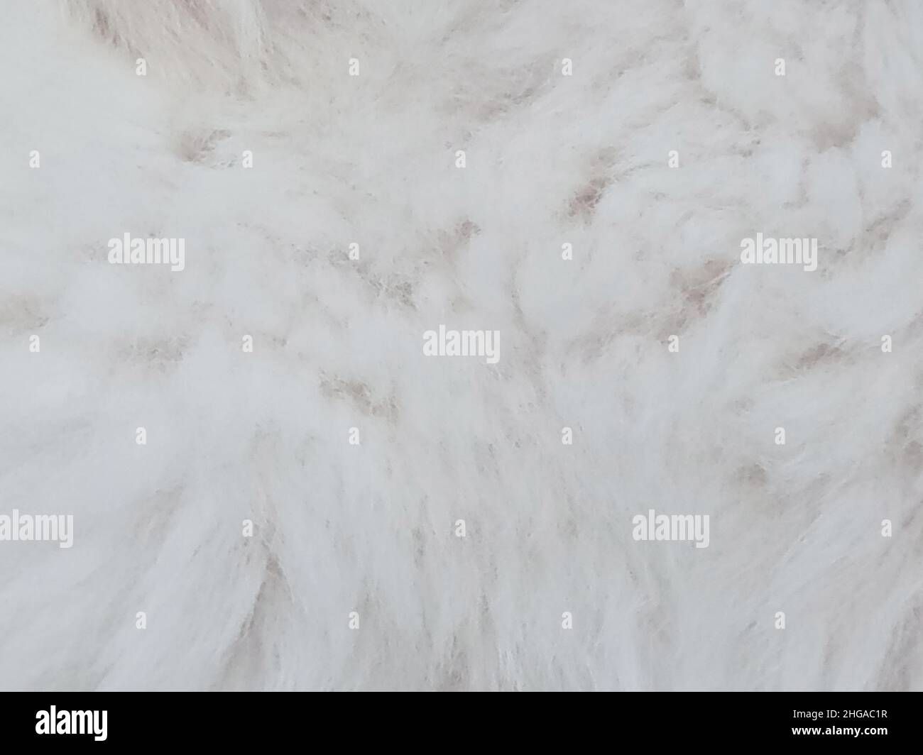 Primo piano di pelliccia di cucciolo di recupero dorato Foto Stock