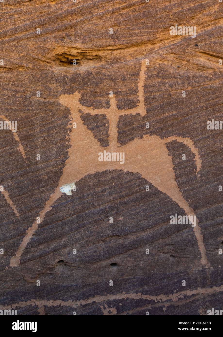 Petroglifi su una roccia raffigurante un cacciatore su un cavallo, provincia di Najran, Thar, Arabia Saudita Foto Stock