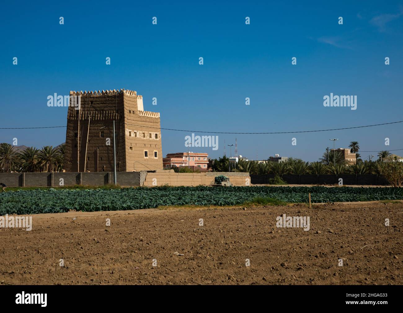 Tradizionale vecchia casa di fango con la sua fattoria, provincia di Najran, Najran, Arabia Saudita Foto Stock