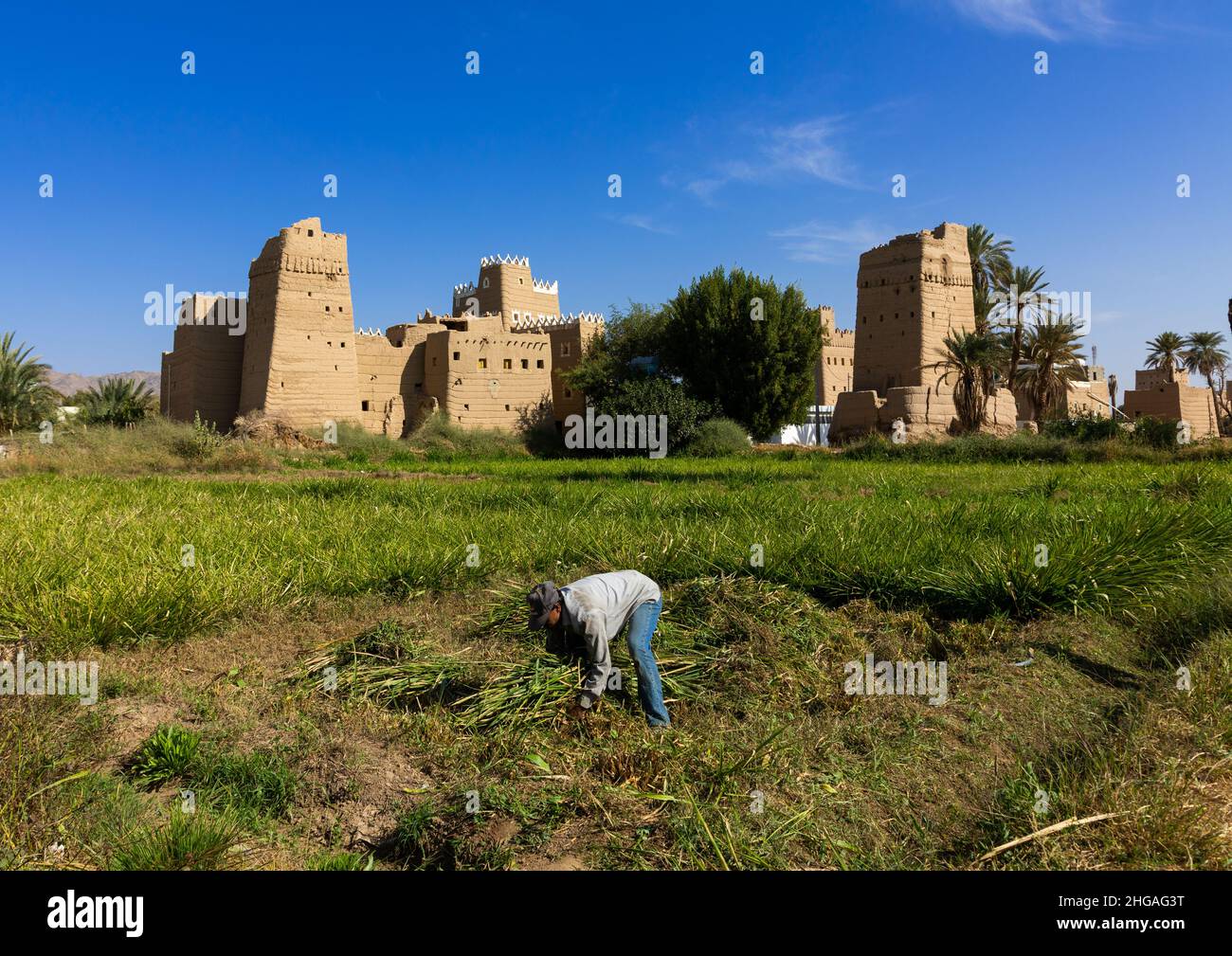 Uomo che lavora di fronte ad una tradizionale vecchia casa di fango nell'oasi, provincia di Najran, Najran, Arabia Saudita Foto Stock