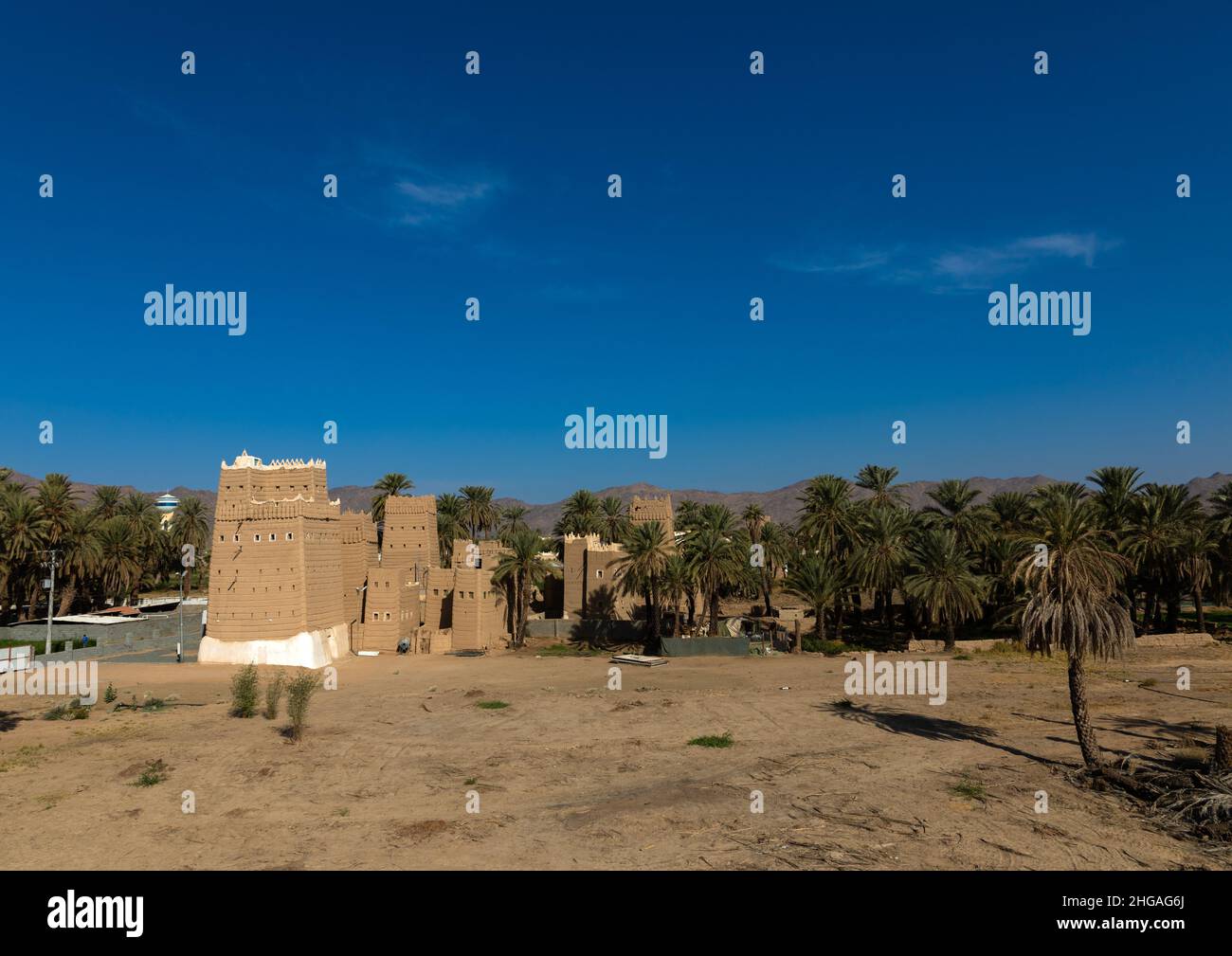 Vecchie case di fango tradizionali nell'oasi, provincia di Najran, Najran, Arabia Saudita Foto Stock