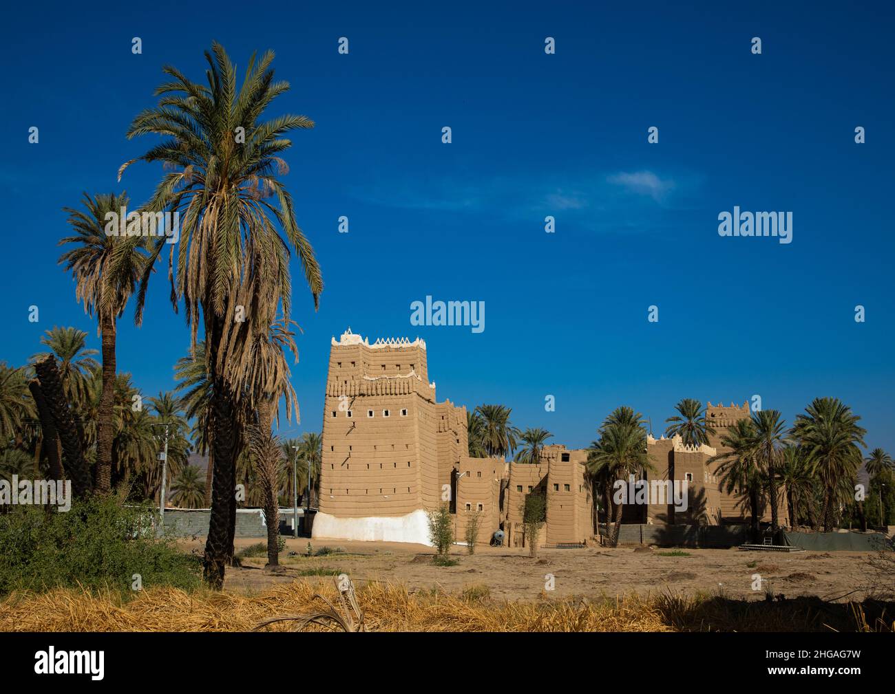 Tradizionale vecchia casa di fango nell'oasi, provincia di Najran, Najran, Arabia Saudita Foto Stock