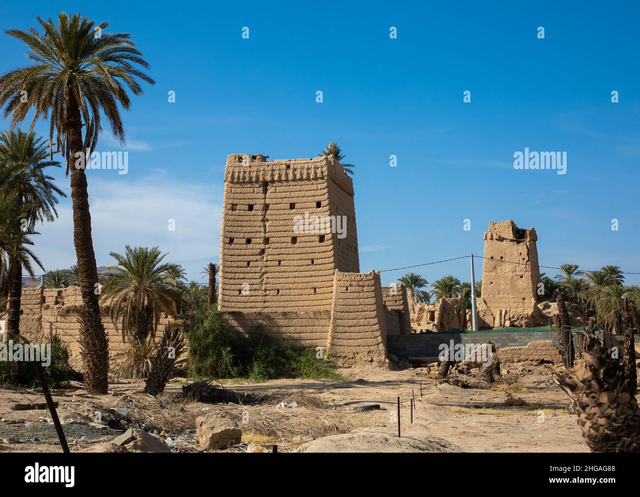 Vecchie case di fango tradizionali con palme, provincia di Najran, Najran, Arabia Saudita Foto Stock