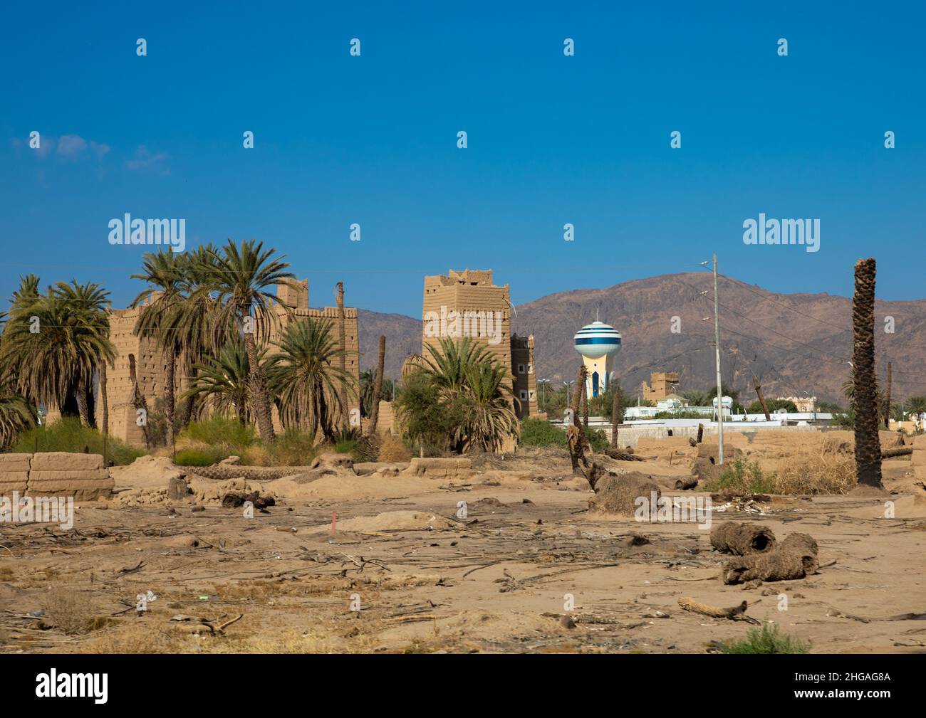 Vecchie case di fango tradizionali con palme, provincia di Najran, Najran, Arabia Saudita Foto Stock