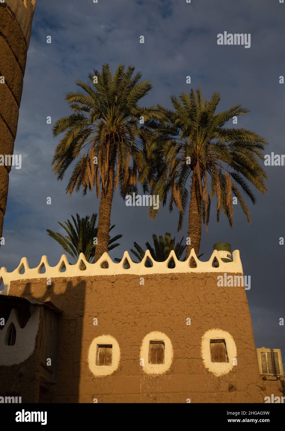 Tradizionale vecchia casa di fango con palme, provincia di Najran, Najran, Arabia Saudita Foto Stock