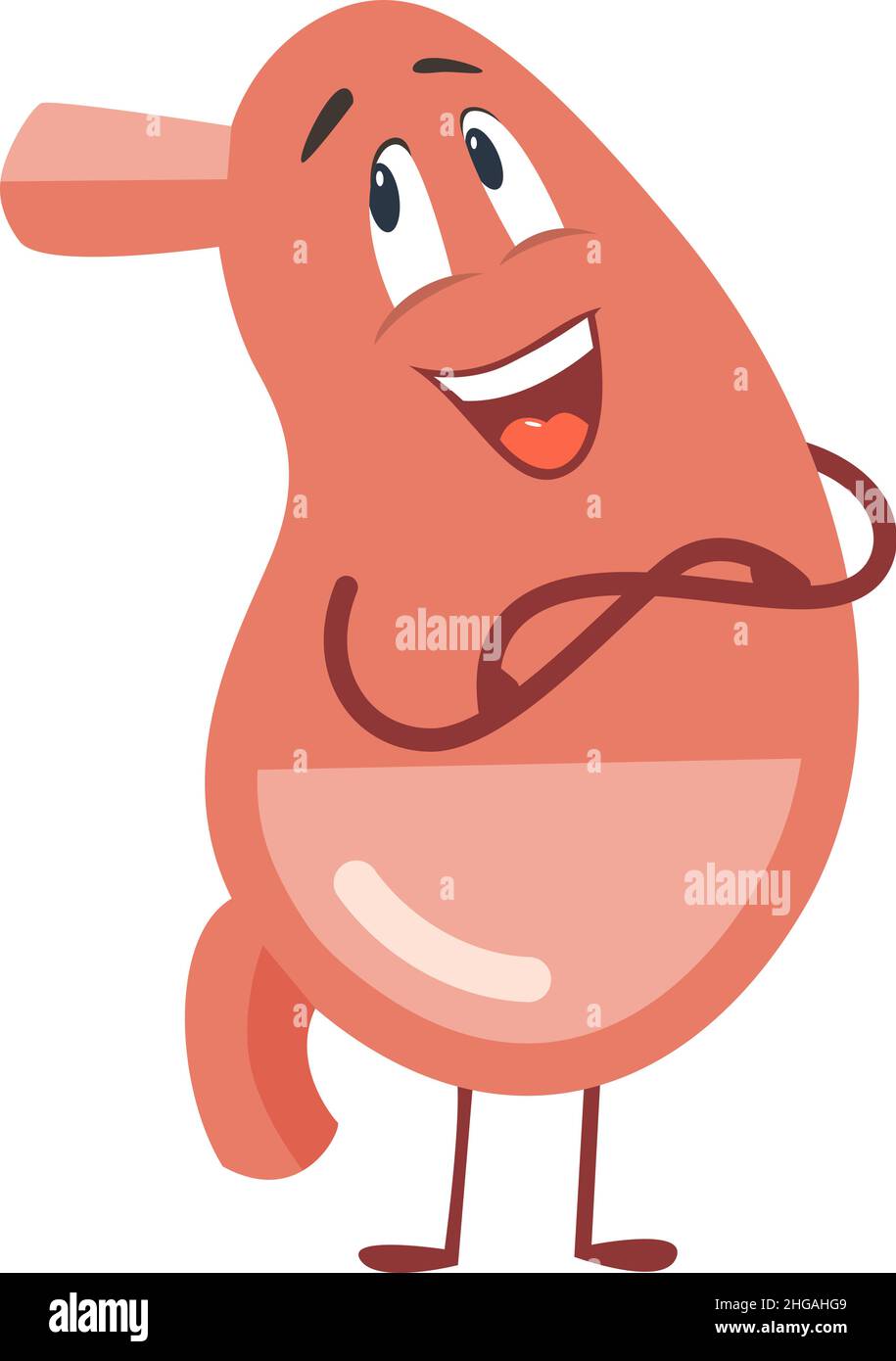 Divertente stomaco cartoon. Organo di digestione del cibo in stile cute Illustrazione Vettoriale