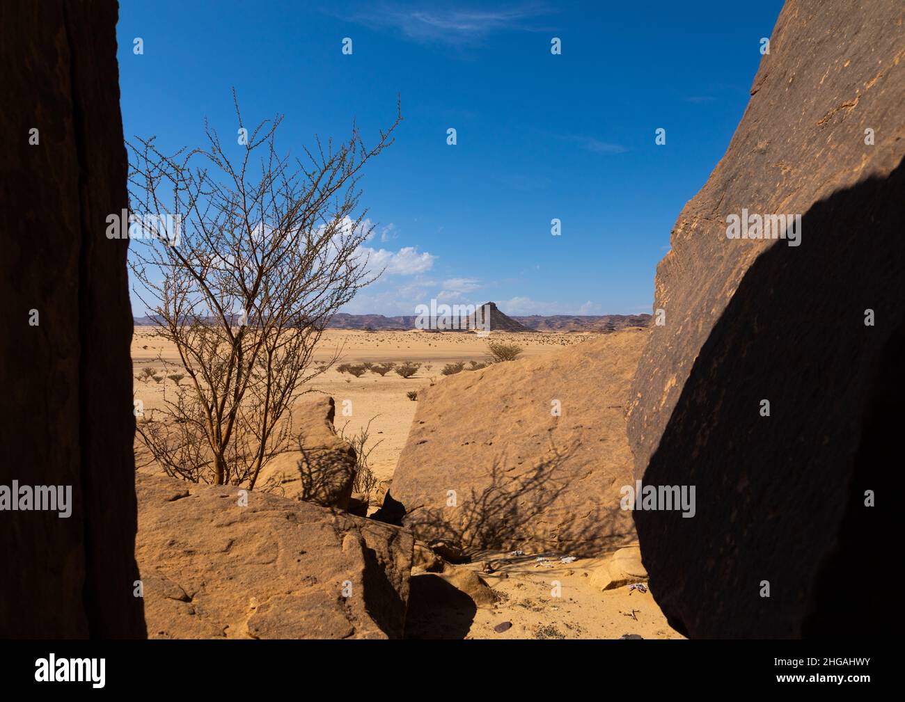 Paesaggio secco nel deserto, provincia di Najran, Thar, Arabia Saudita Foto Stock