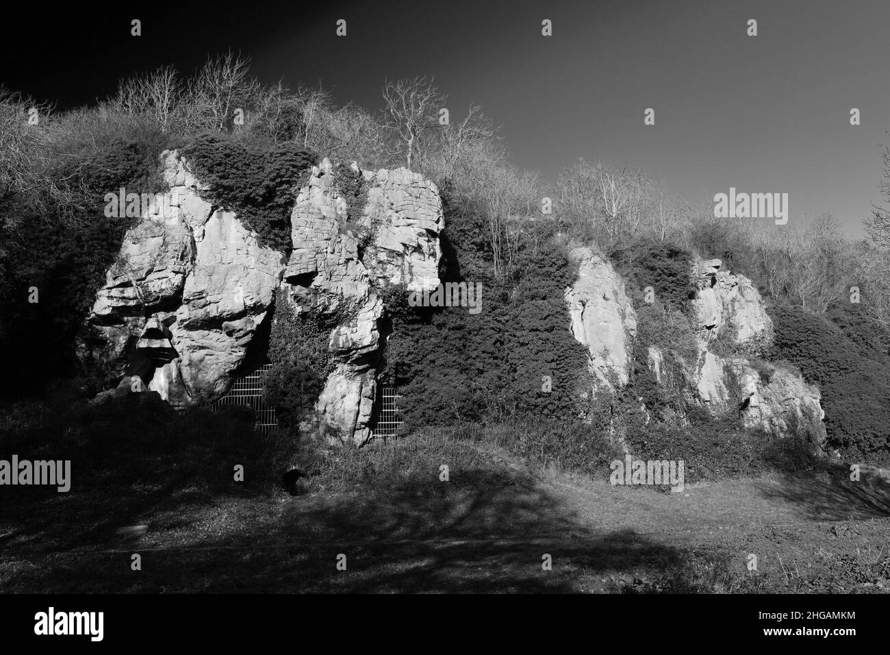 Vista della Grotta dell'Età del ghiaccio di Dog Hole a Creswell Crags Prehistoric Gorge, Nottinghamshire, Inghilterra, Gran Bretagna, Regno Unito Foto Stock