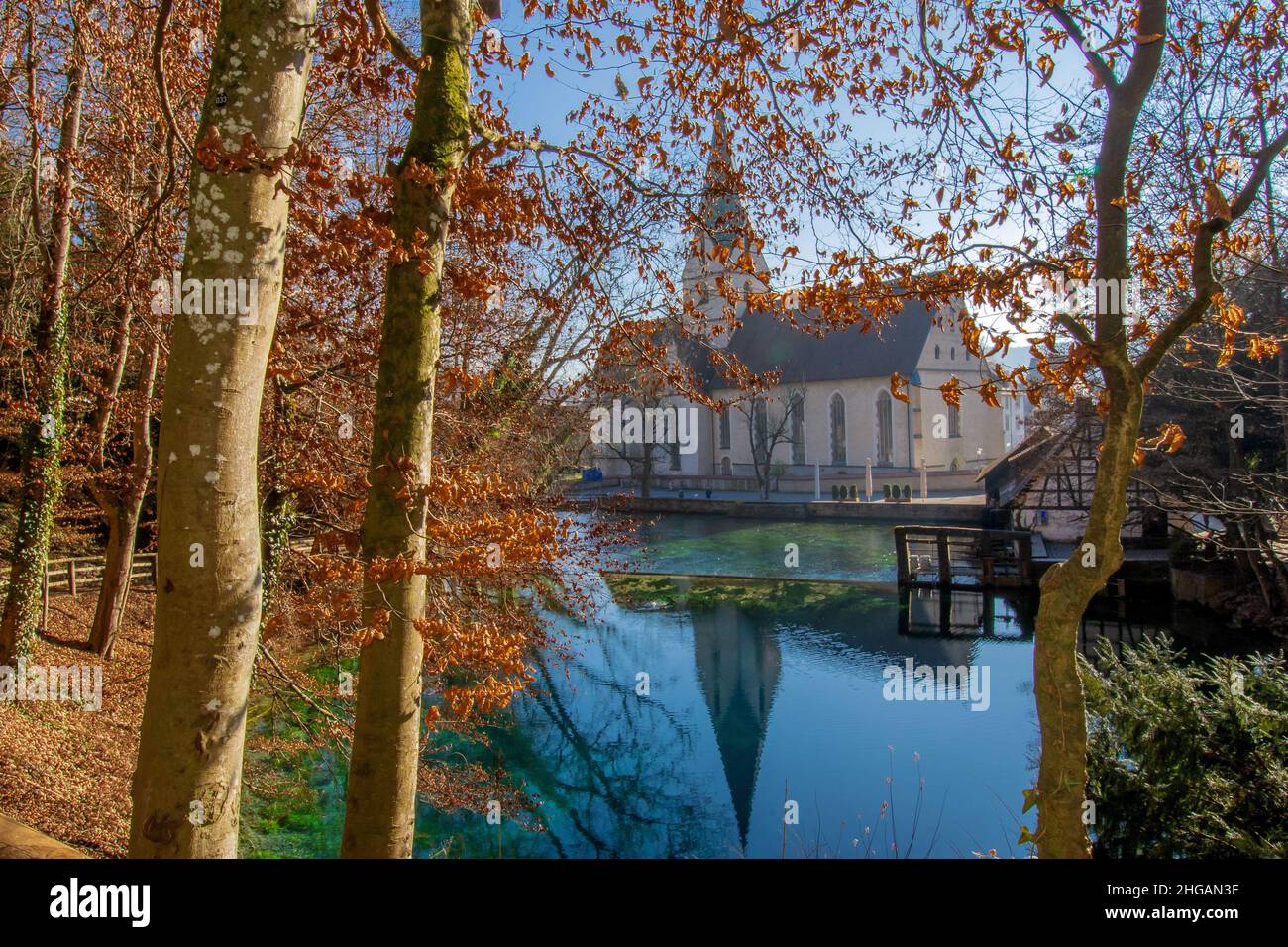 DE - BADEN-Württemberg : Chiesa monastery di Blaubeuren Foto Stock