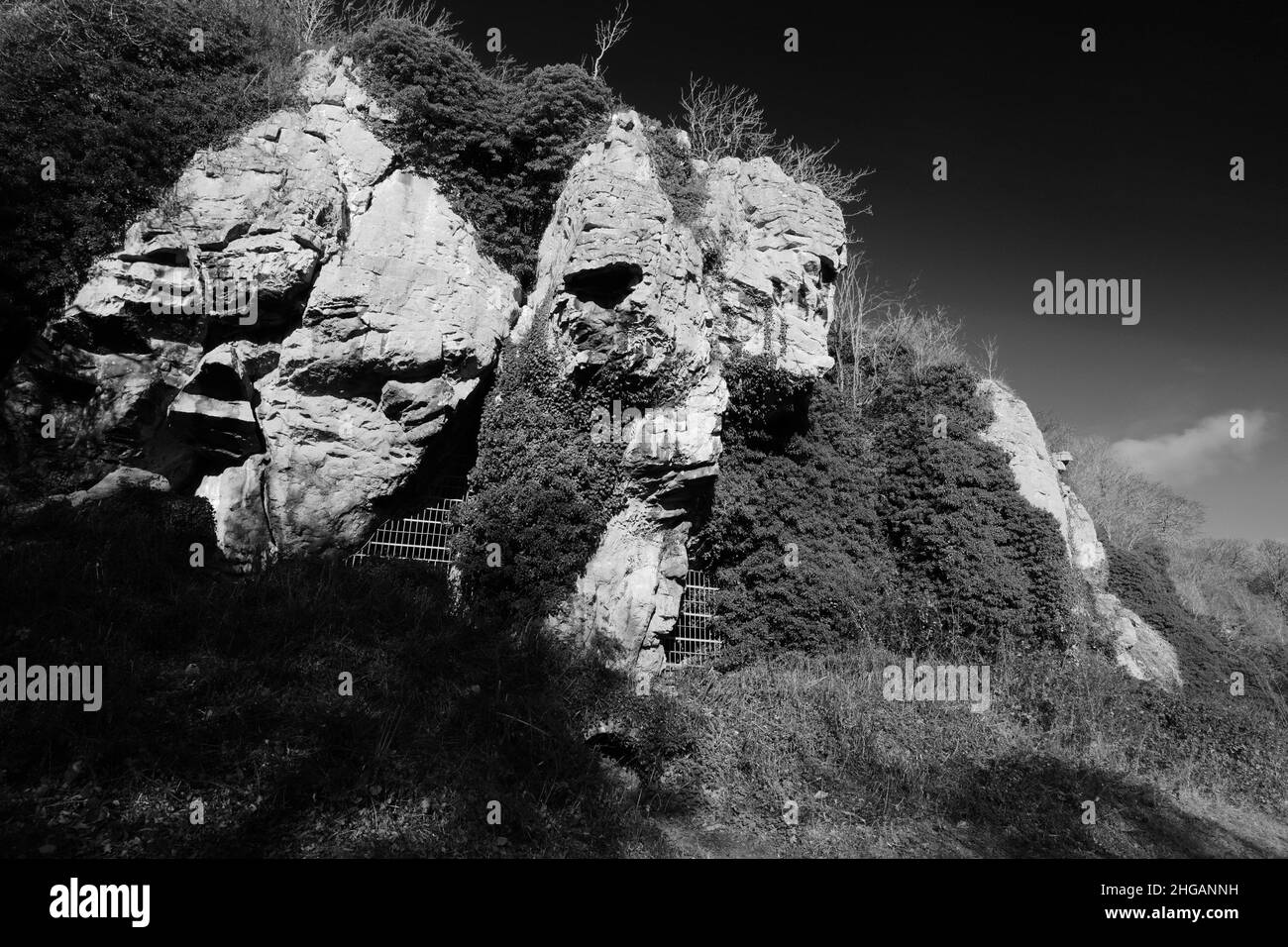 Vista della Grotta dell'Età del ghiaccio di Dog Hole a Creswell Crags Prehistoric Gorge, Nottinghamshire, Inghilterra, Gran Bretagna, Regno Unito Foto Stock