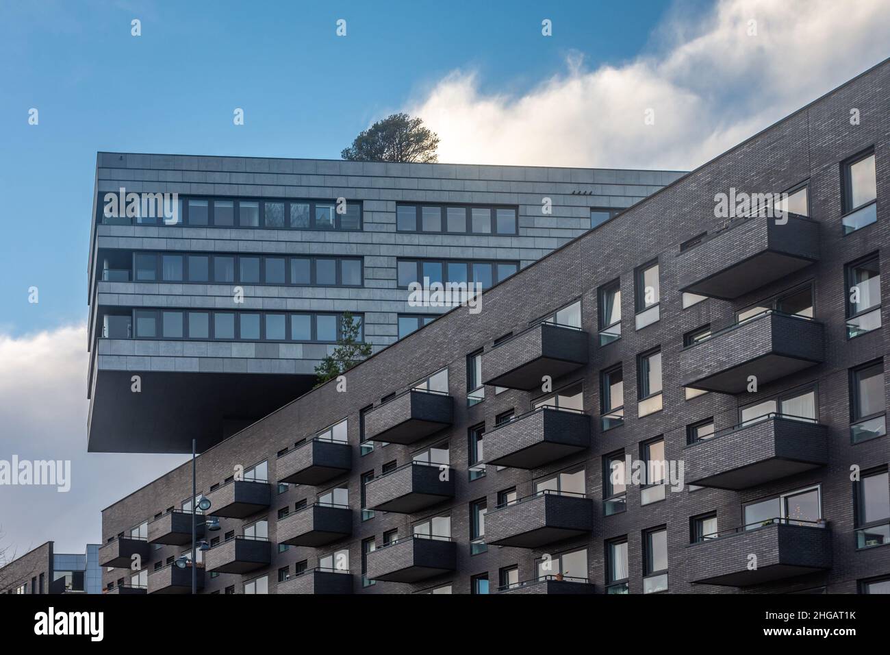 Amsterdam, Olanda del Nord, Paesi Bassi, 02.01.2022, dettaglio di un edificio moderno nell'area di Amsterdam Westerdok con albero sul retro Foto Stock