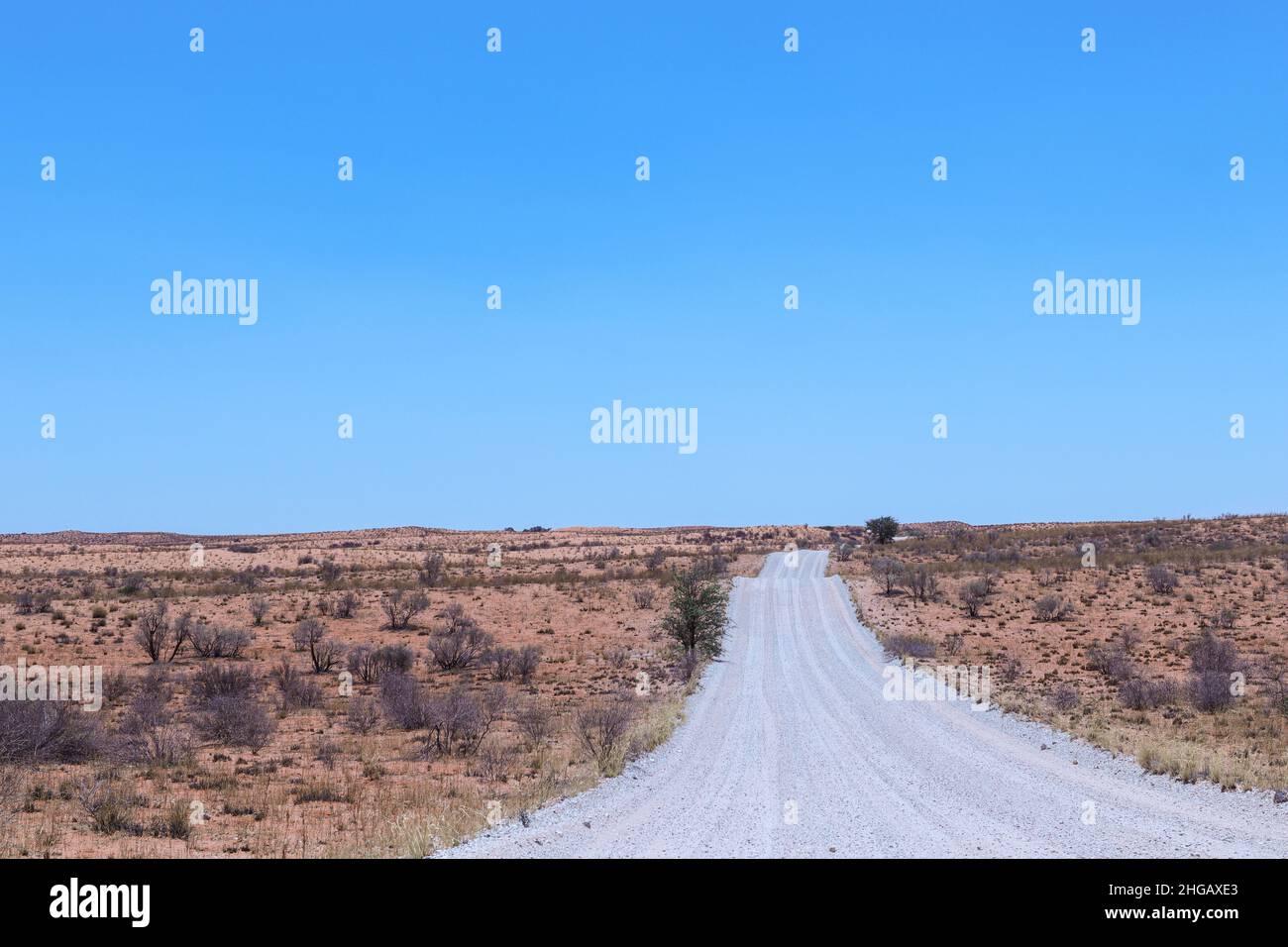 Strade bianche sterrate della Kgalagadi Foto Stock