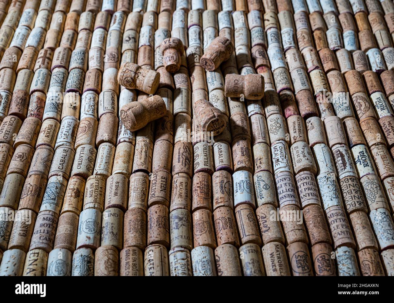 Raccolta di vini e tappi di champagne: Vini pregiati, vini francesi, vini argentini, vini italiani, Rioja, Chateau Meaume Foto Stock