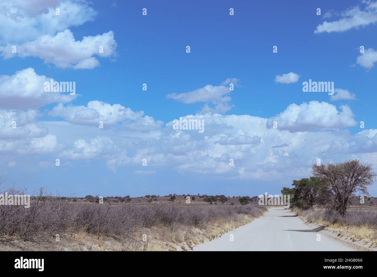 Strade bianche sterrate della Kgalagadi Foto Stock