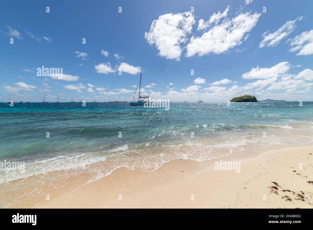 Saint Vincent e Grenadine, Tobago Cays Foto Stock