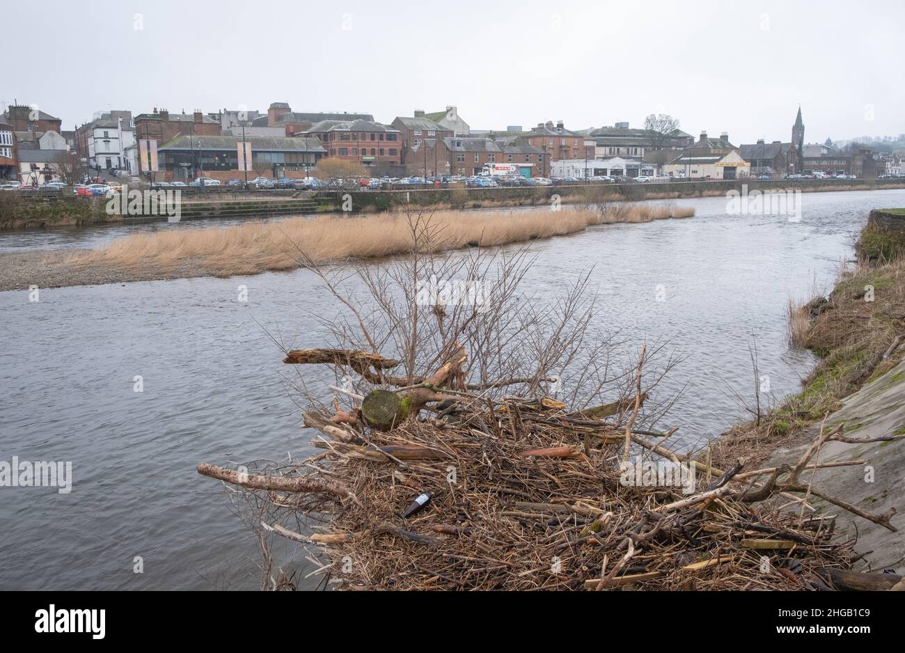 Una vista del fiume Nith nel centro della città di Dumfries, in Scozia, mostra un'enorme pila di alberi, rami e detriti sul lato della sponda del fiume. Foto Stock