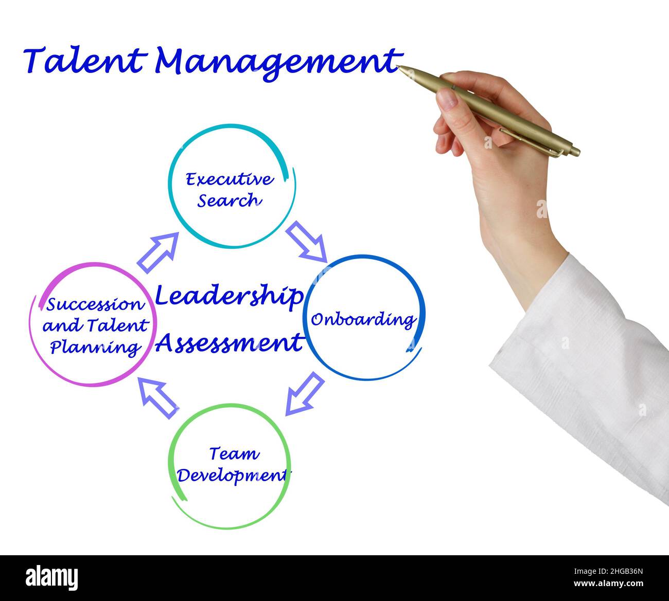 Quattro componenti di Talent Management Foto Stock