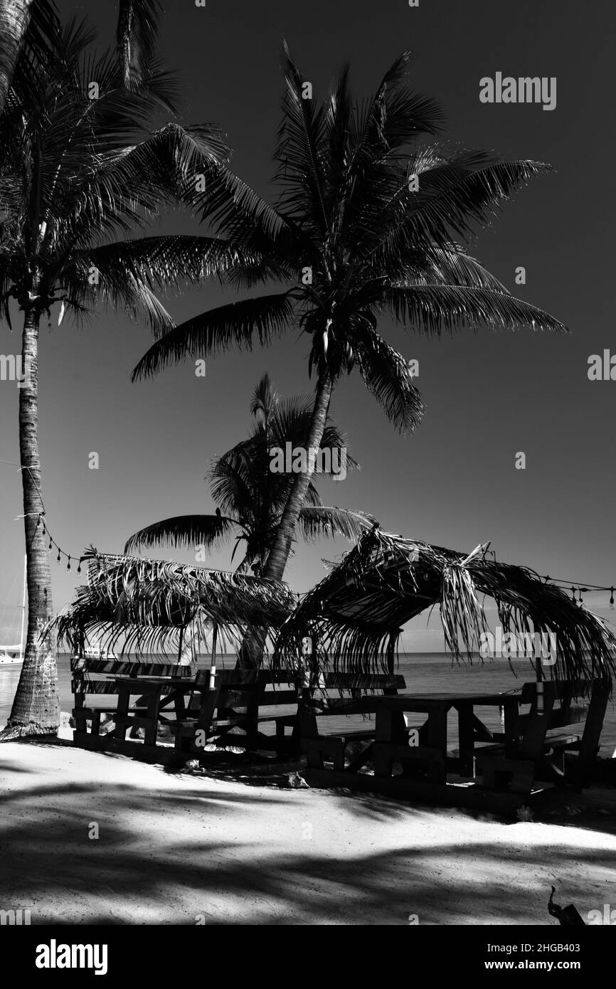 Un colpo bianco e nero di alcune panchine da tavolo sotto palapa e palme sulla spiaggia di San Pedro, Belize. Foto Stock