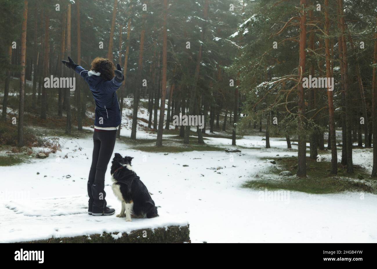 Donna e cane si godono nel mezzo di una foresta nevosa. Nel Parco Nazionale della Sierra de Guadarrama, El Espinar, Segovia, Madrid. Foto Stock