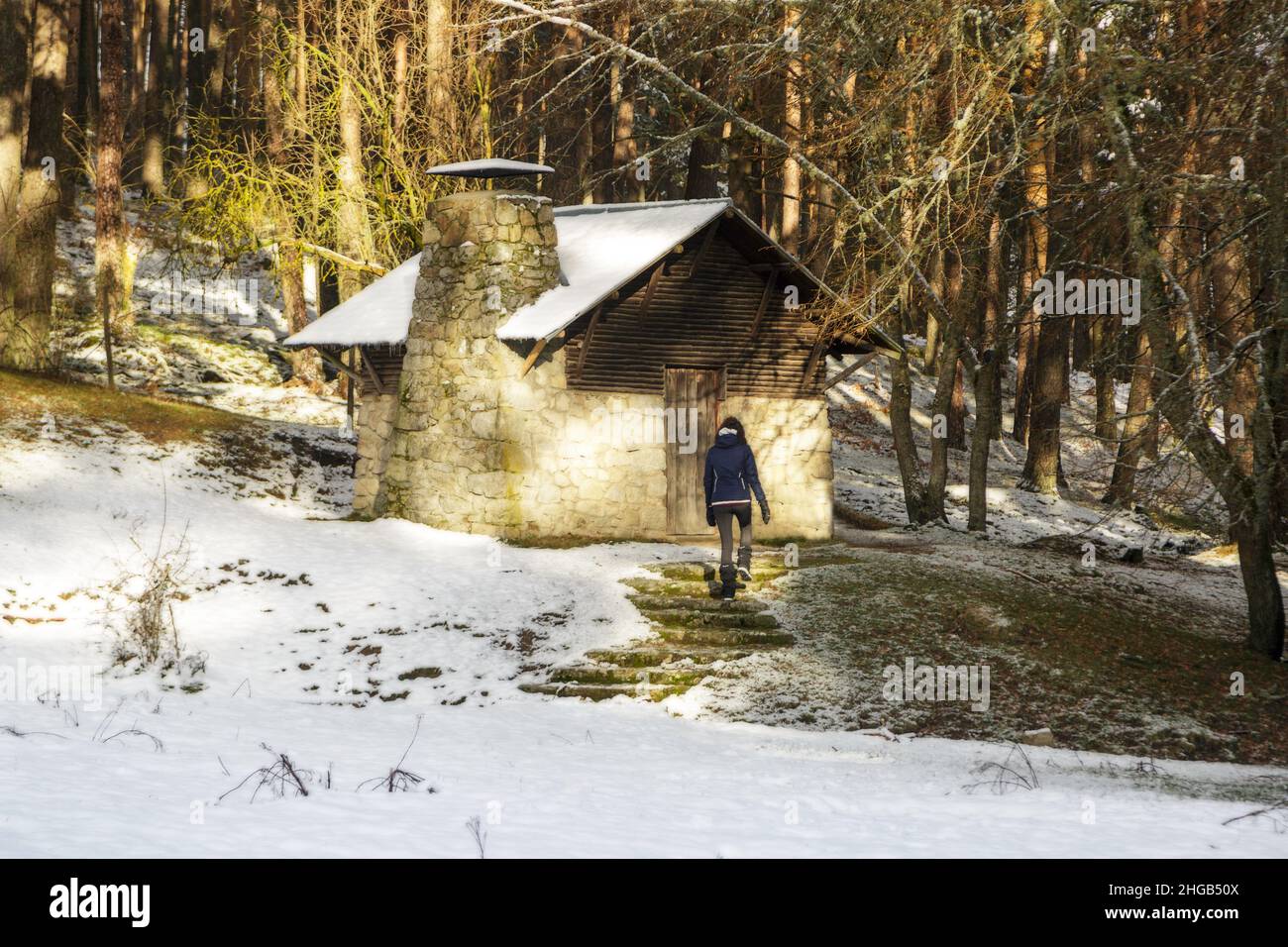 Donna che cammina da sola verso una cabina di legno nel mezzo di una foresta innevata. Rifugio nel Parco Nazionale della Sierra de Guadarrama, El Espinar, Segovia, Mad Foto Stock