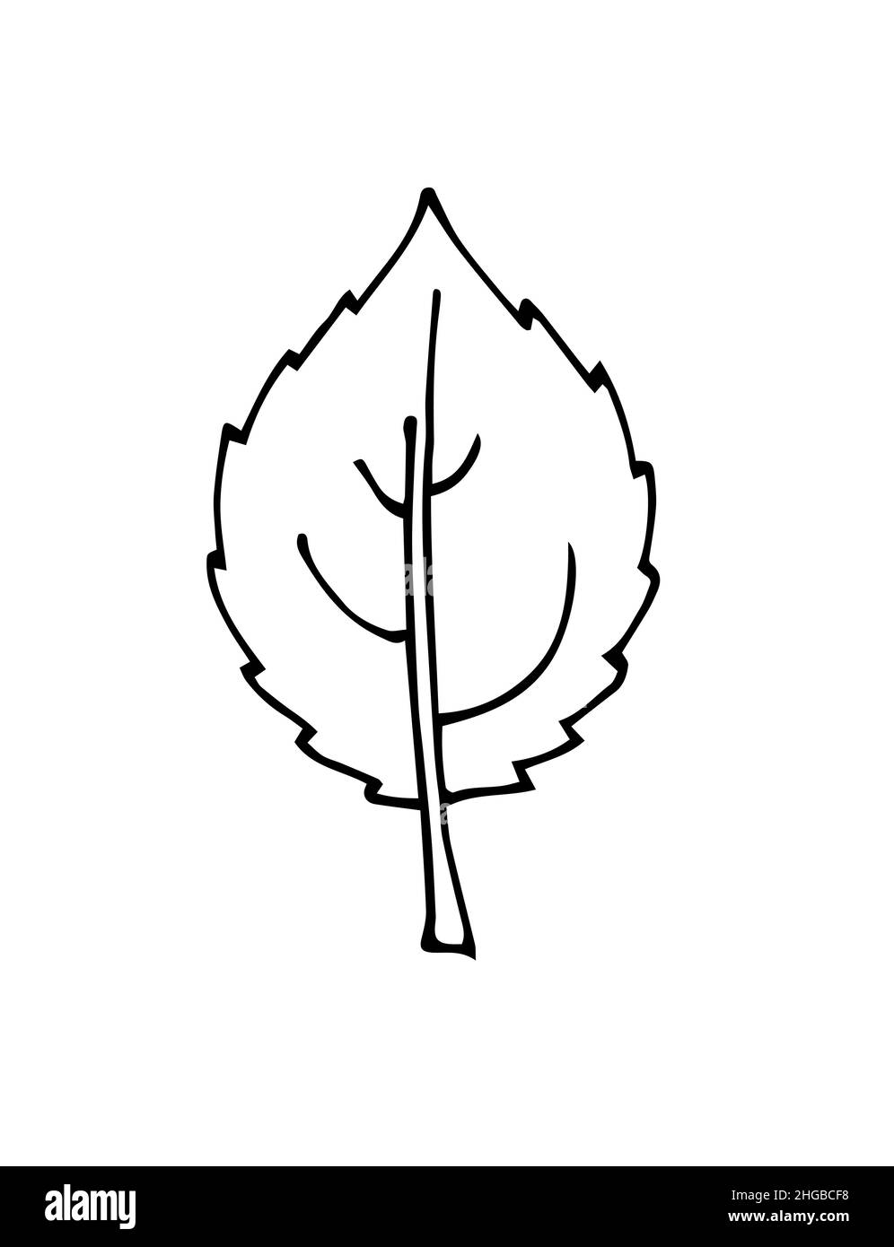 Foglia di albero. Disegno a mano del contorno. Schizzo isolato su sfondo bianco. Vettore Illustrazione Vettoriale