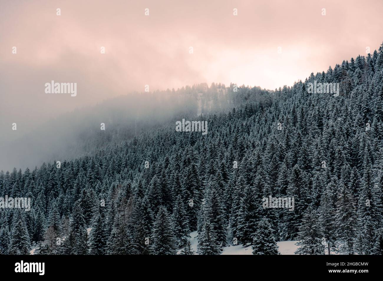 Austria, steg , un bel paesaggio di montagna in inverno con alberi, cielo smog Foto Stock