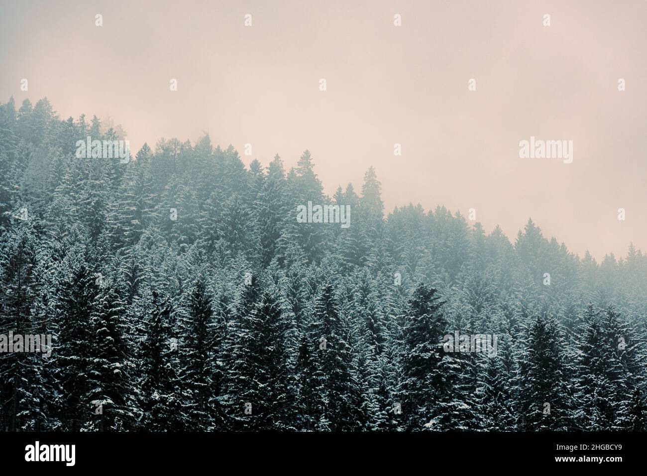 Austria, steg , un bel paesaggio di montagna in inverno con alberi, cielo smog Foto Stock