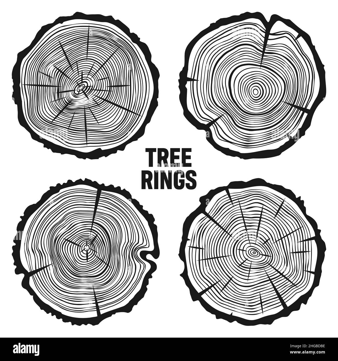 Tagli di tronco di albero tondo con crepe, segato pino o fette di quercia, legname. Legname tagliato da poco, legno. Tessitura di legno con anelli di albero. Schizzo disegnato a mano. Vettore Illustrazione Vettoriale